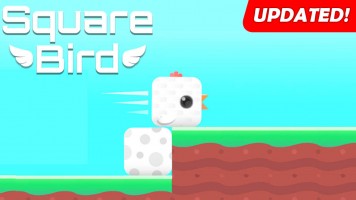 Square Bird | Квадратная Птичка