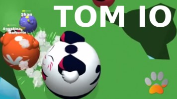 Том ио