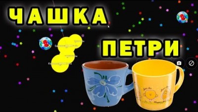 Чашка петри (petridish.pw) прохождение