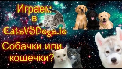 Играем в CatsVSDogs.io. Собачки или кошечки?
